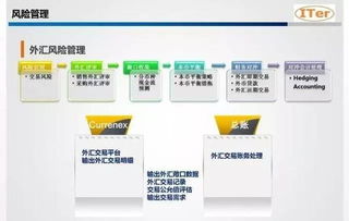 集團資金管理價值趨勢分析及系統選型考量