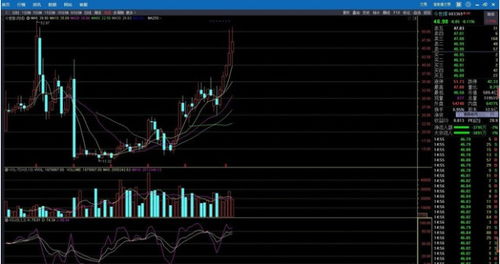 A股白酒行業 瘋狂能否持續？上車時機與趨勢資產配置分析